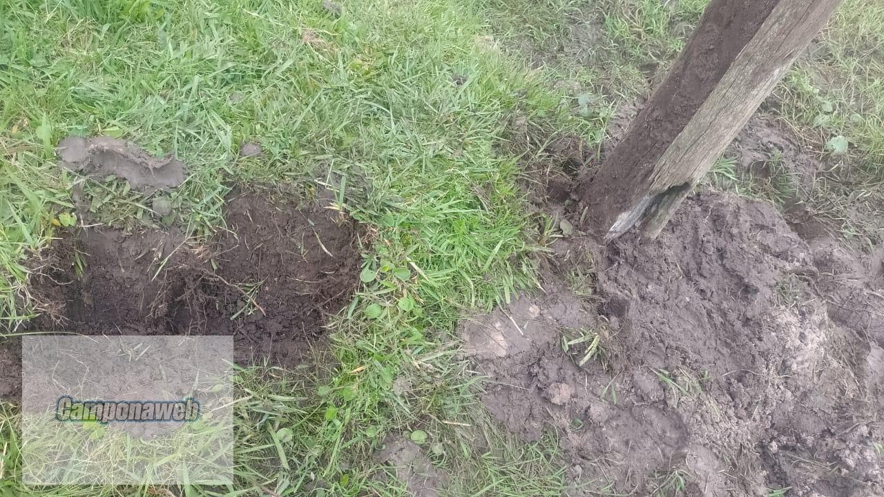 área rural agrícola RS