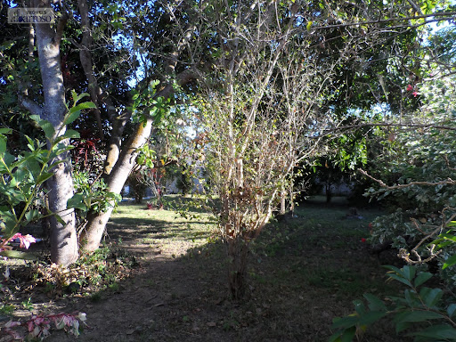 Vista 5 do terreno 
