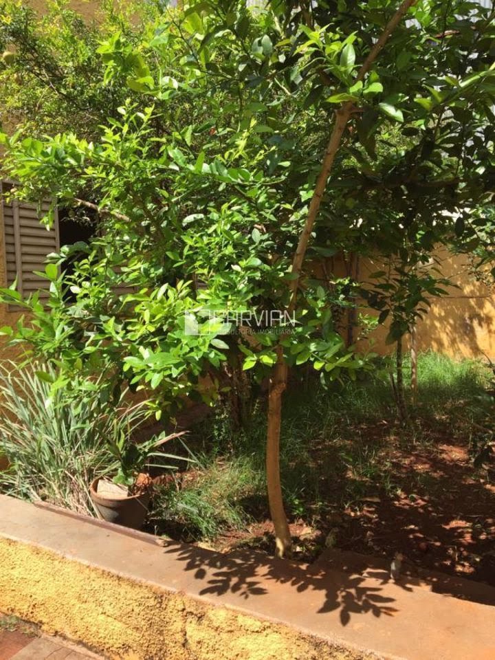 Casa à venda com 3 quartos, 2 banheiros, 1 vaga e 100m² no Jardim Sumaré, Ribeirão Preto (SP) — foto 3 de 26