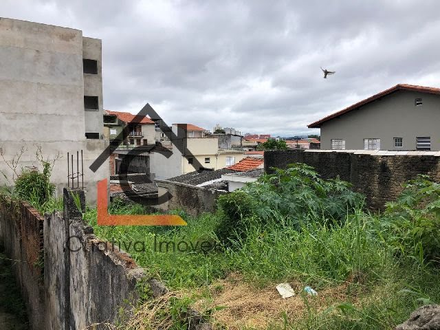 Foto 01