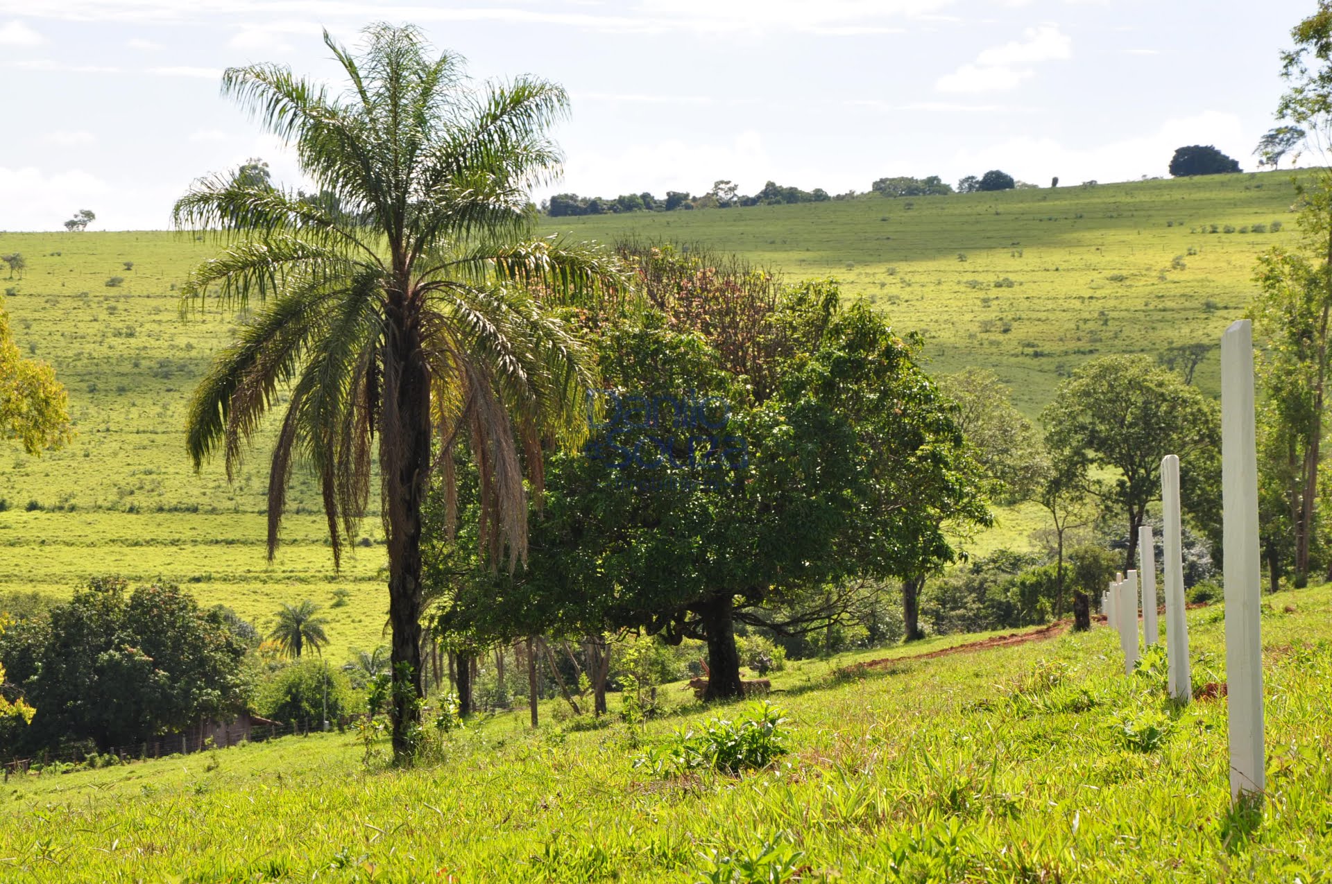 Rural à venda com 20000m² de terreno no Novo Santo Antônio, Araxá (MG) — foto 20 de 20