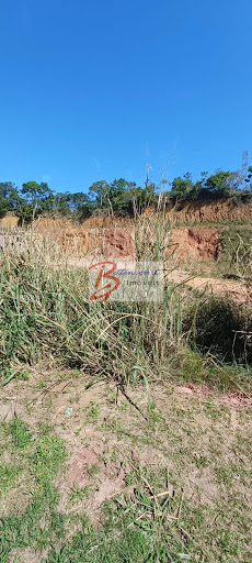 Terreno Comercial em Vila Romao  -  Registro