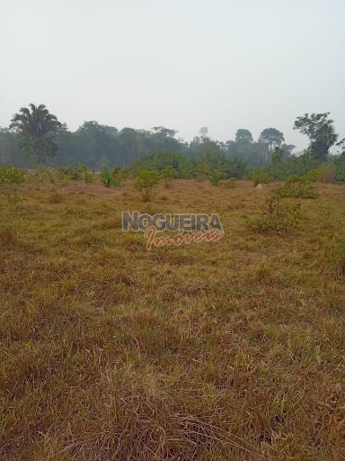 Chácara em gleba 24  -  Urupá