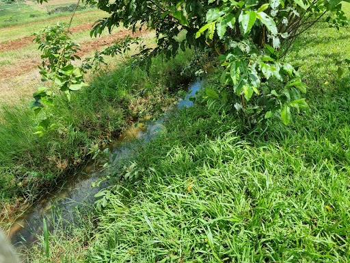 Sitio a venda em Casa Branca 
