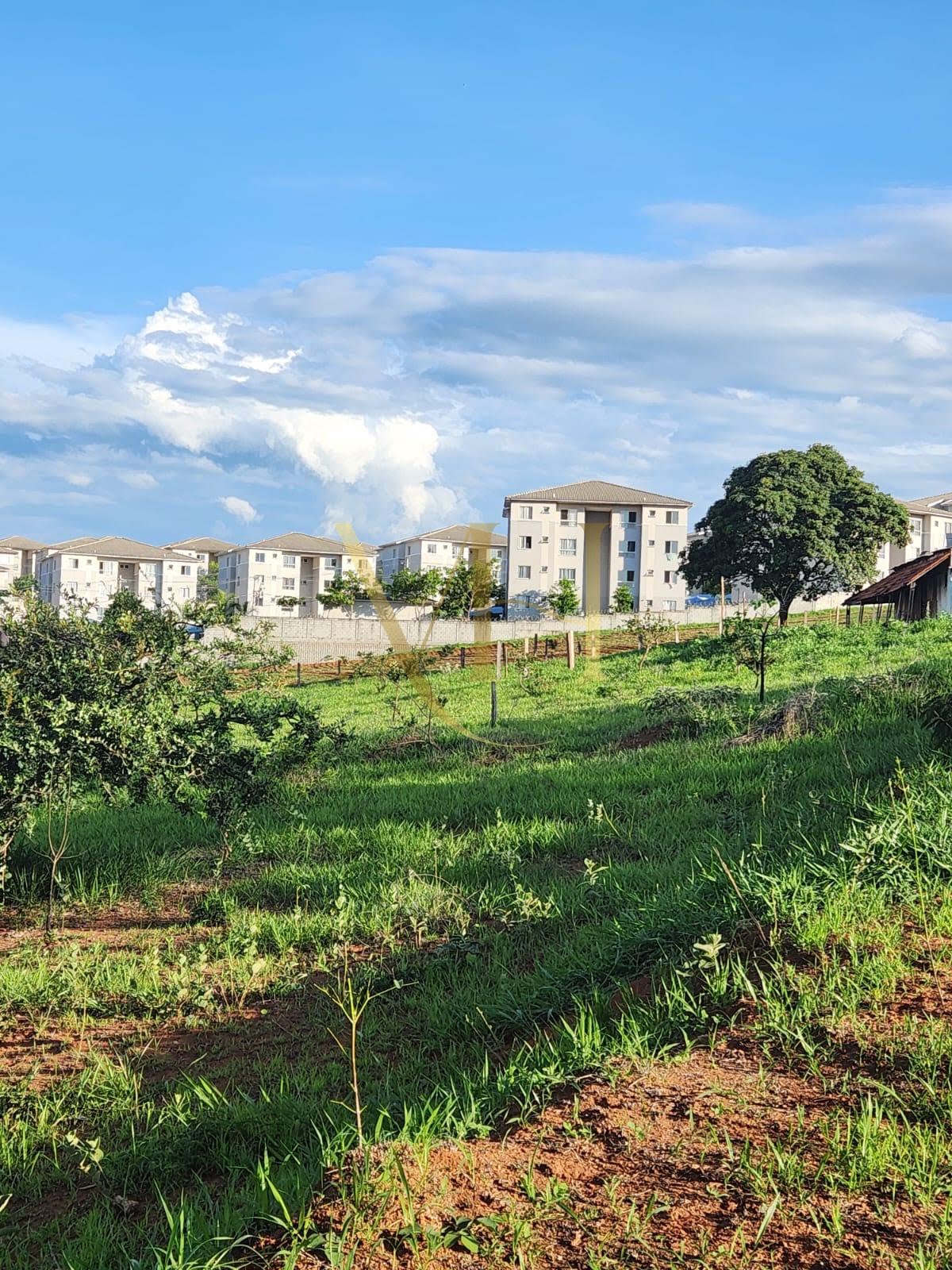 Lotes de 250m . São 3 lotes . Bairro Cidade jardimj
