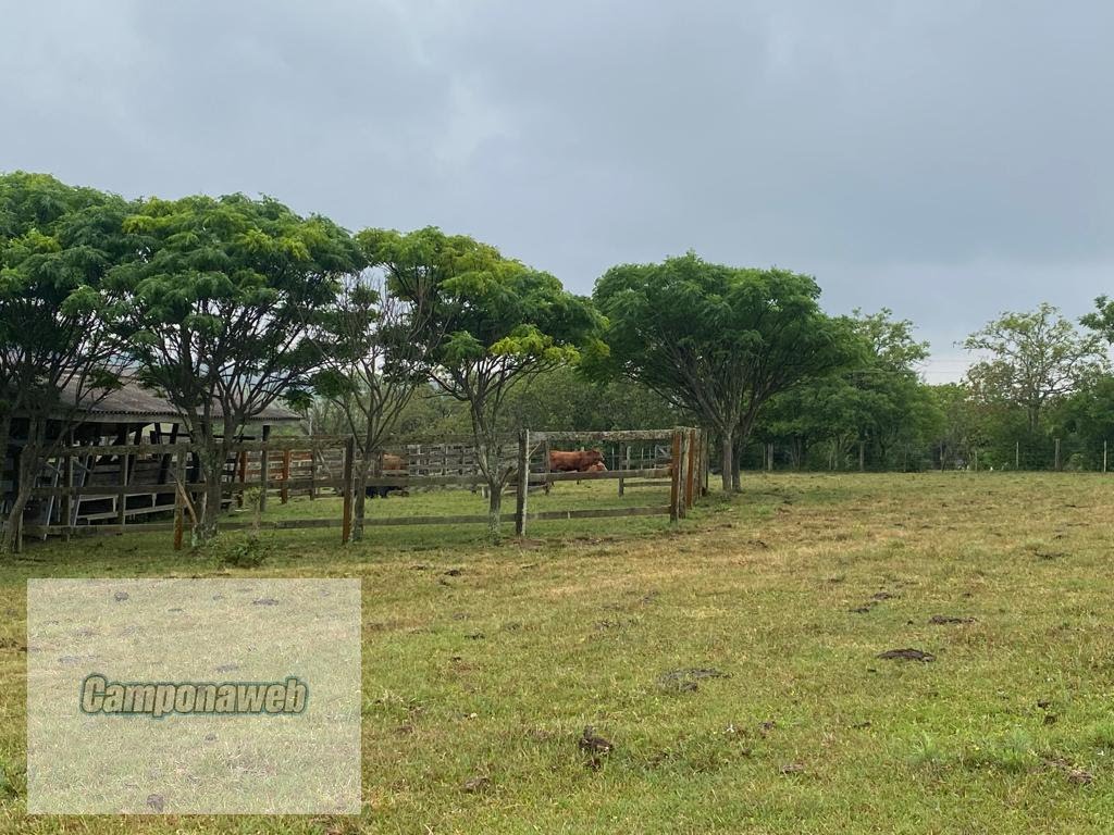 Fazenda a Venda