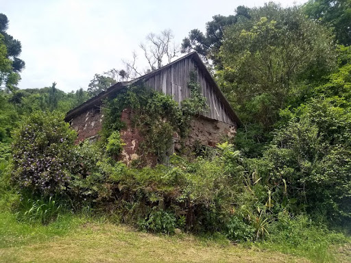 FOTO03