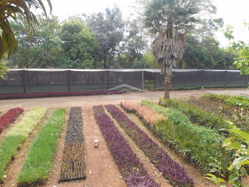 Casa de Condomínio, 2 quartos - Foto 42