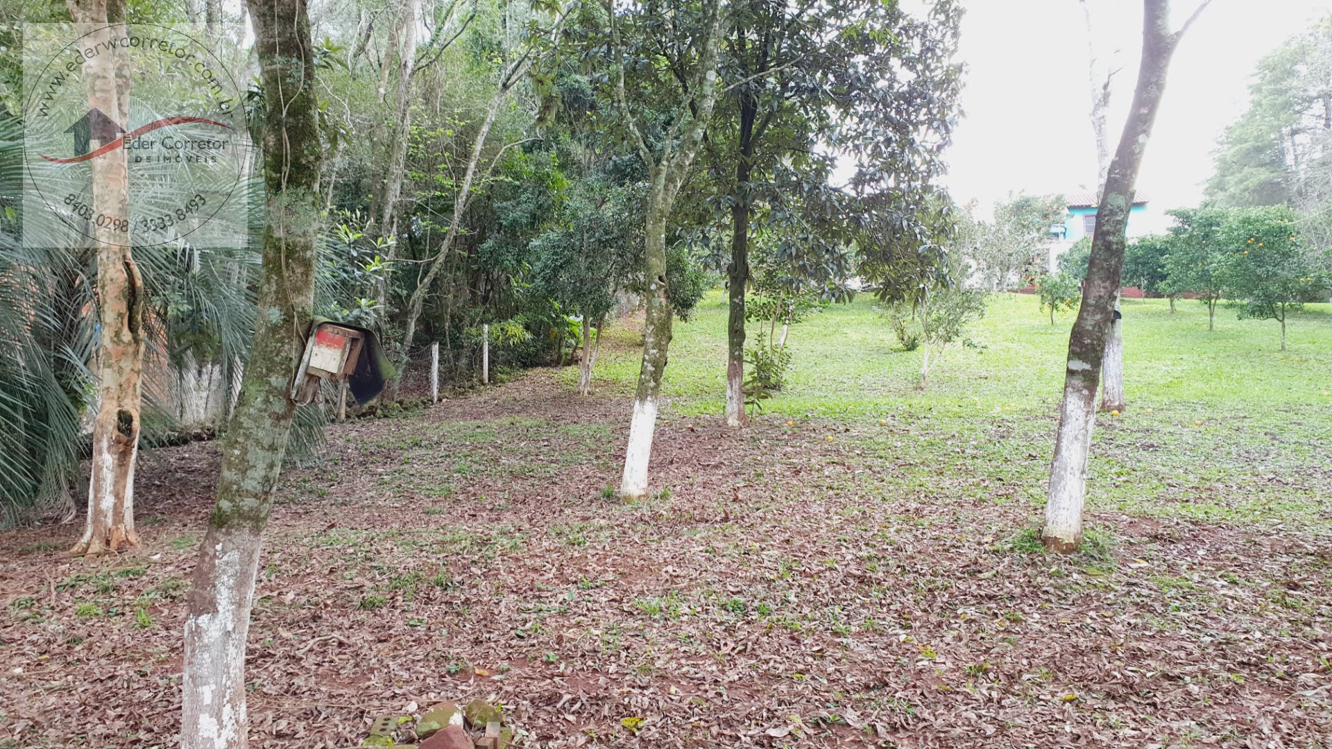Rural à venda com 3200m² de terreno no Interior, Ijuí (RS) — foto 14 de 16