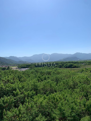 Vista Externa