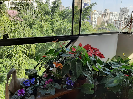 Foto 02