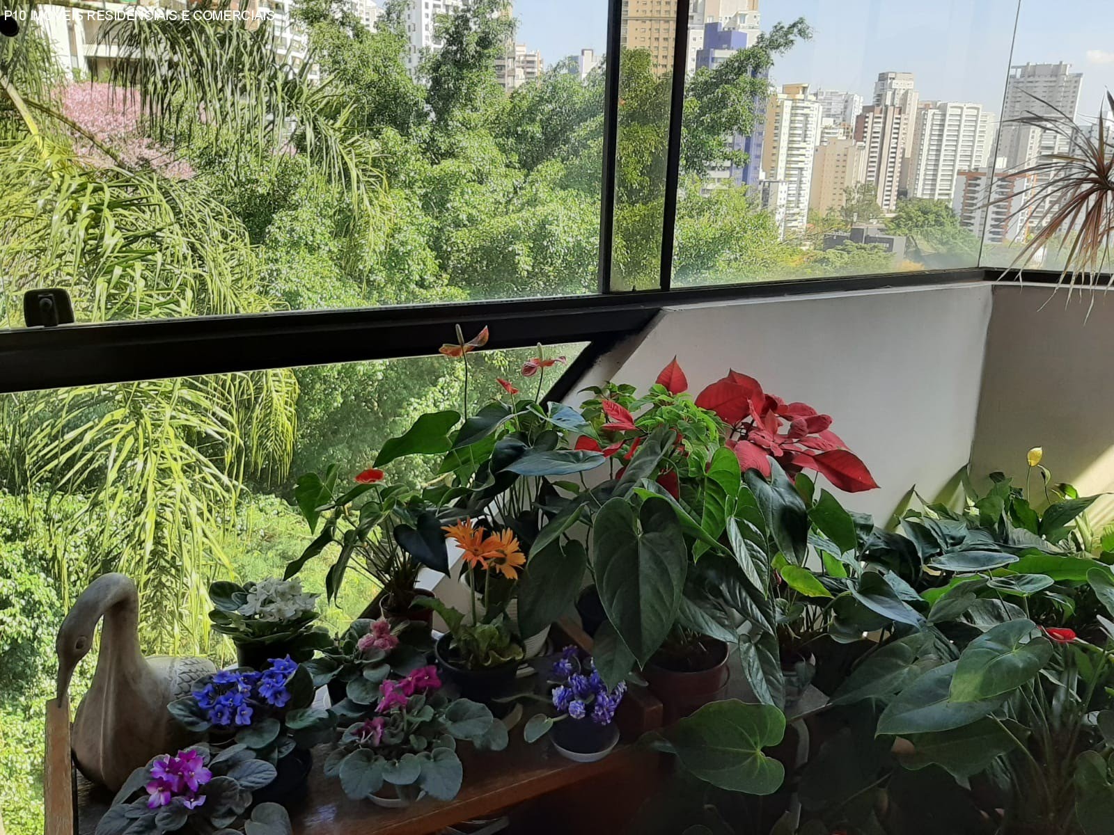 Foto 02