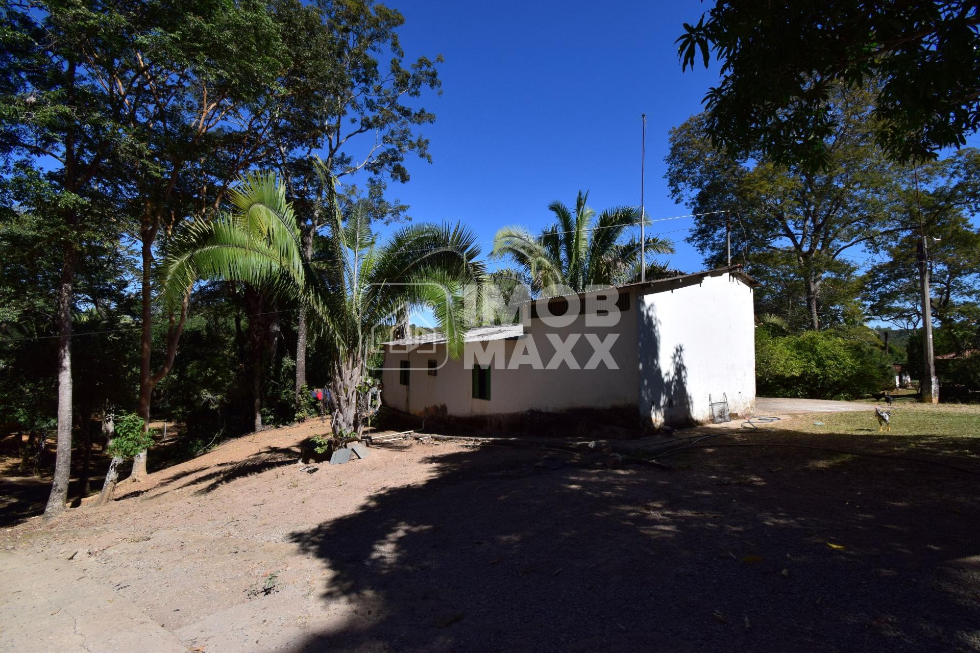Chácara, 5 quartos, 5 hectares - Foto 46
