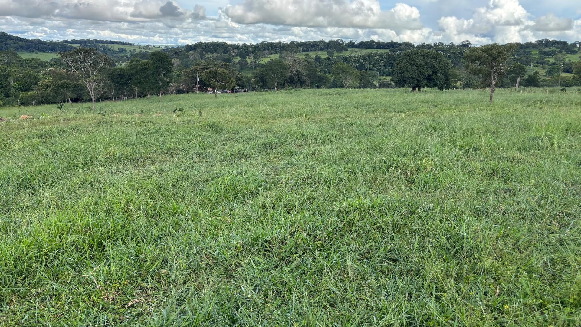Rural à venda com 50000m² de terreno no Zona Rural, Itapuranga (GO) — foto 10 de 30
