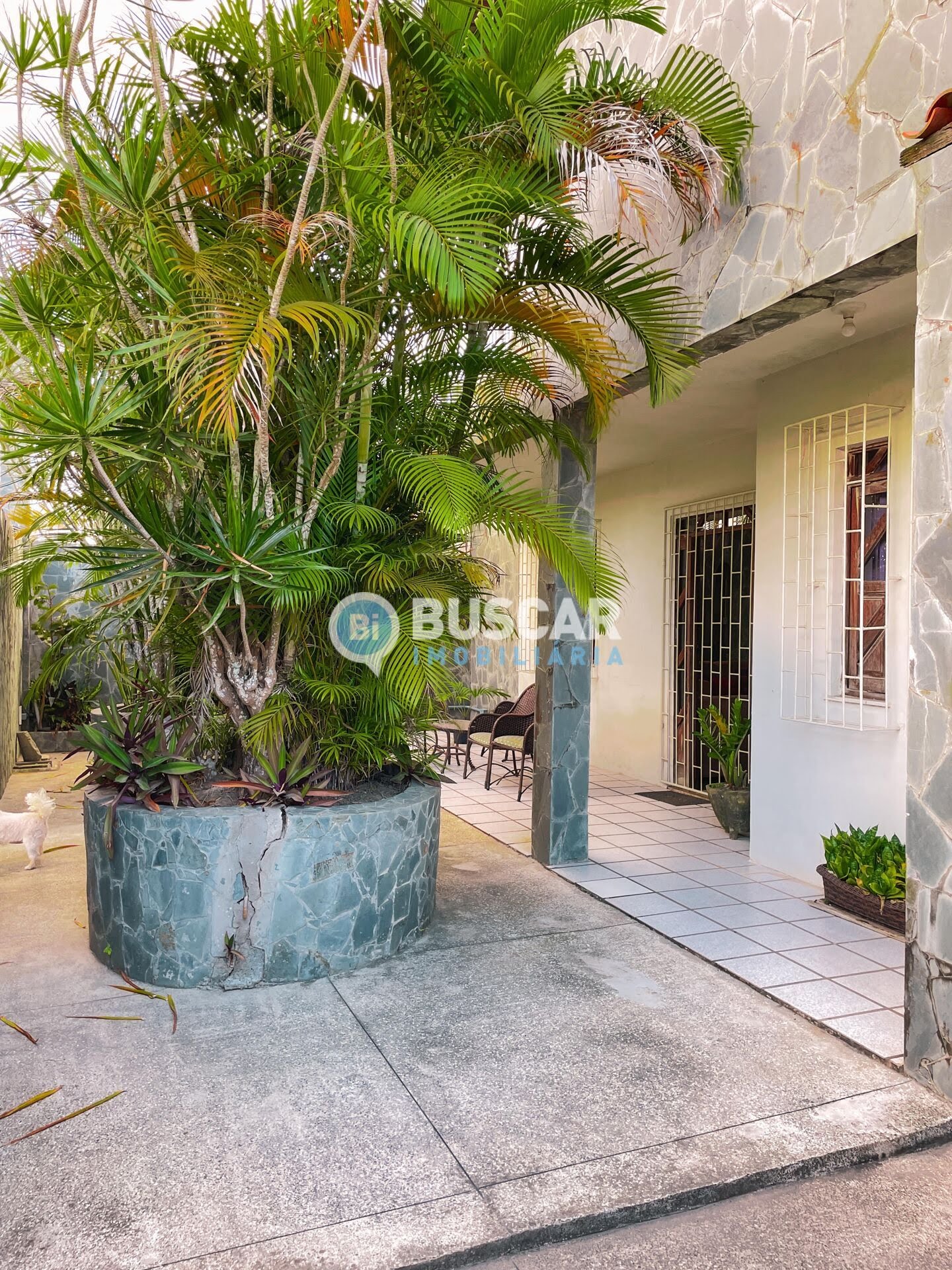Casa à venda com 6 quartos, 3 suítes, 4 vagas e 390m² no Santa Mônica, Feira de Santana (BA) — foto 2 de 30
