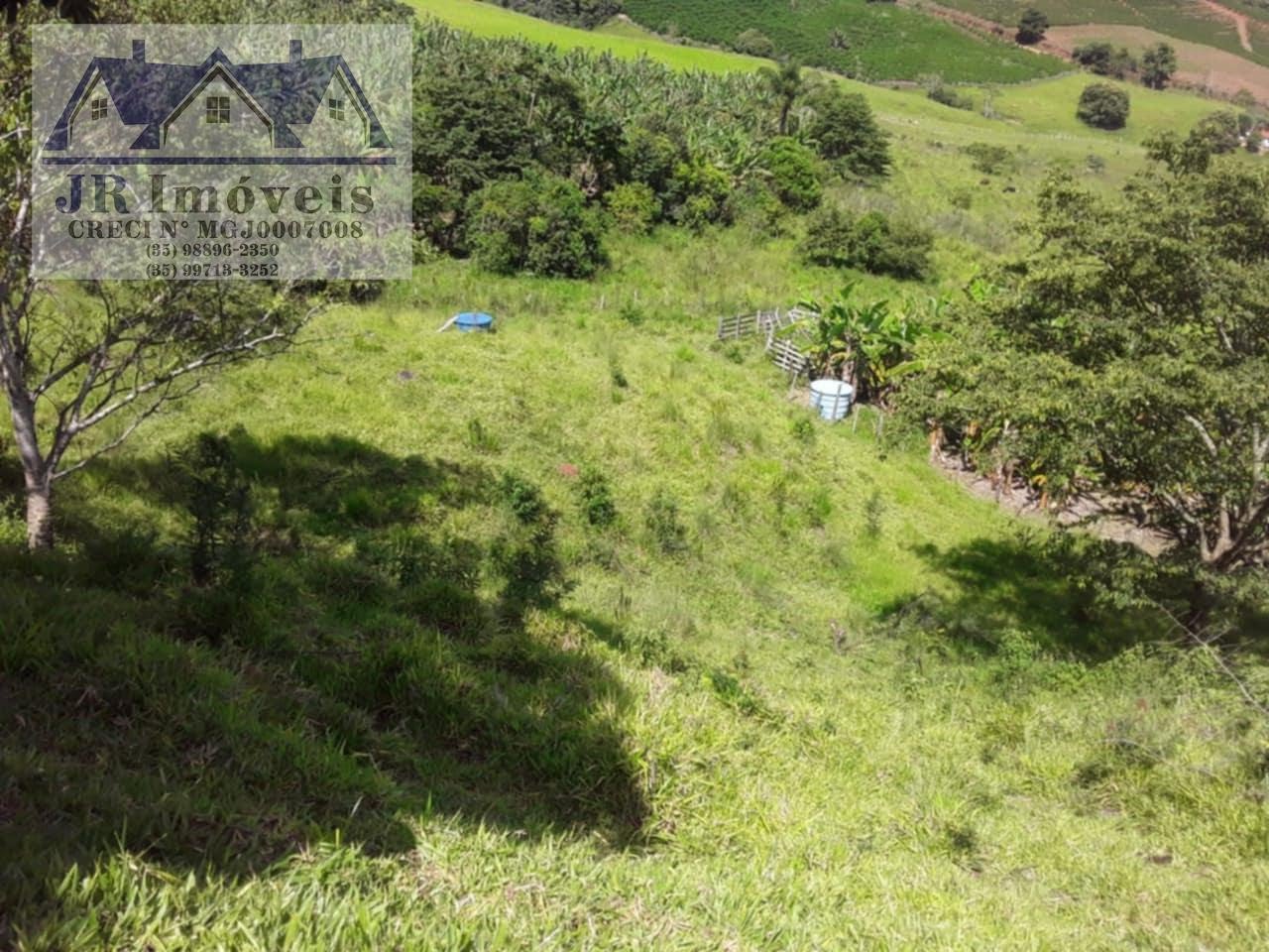 Rural à venda com 30000m² de terreno no Resende, Pedralva (MG) — foto 10 de 21