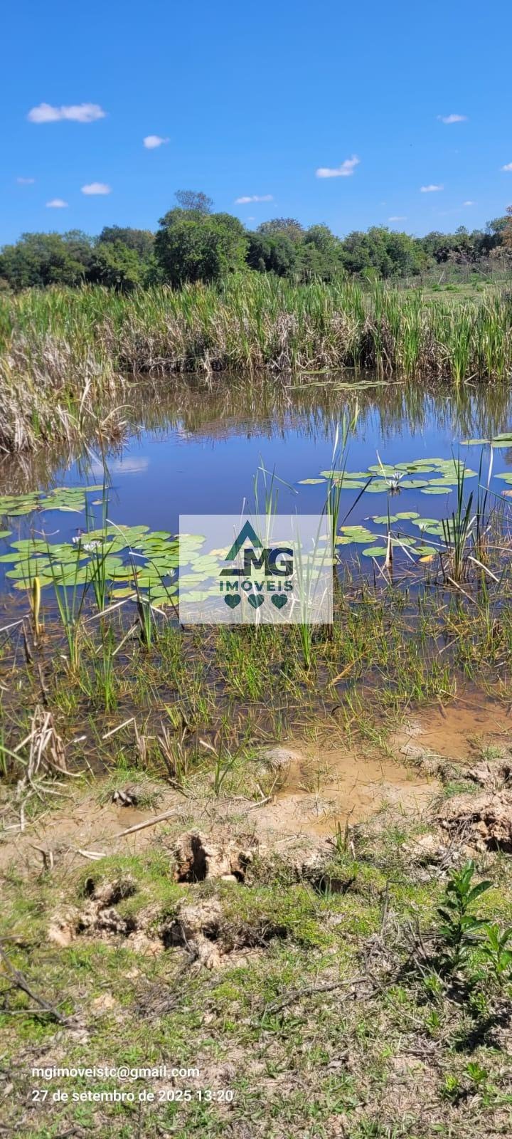 Rural à venda com 20000m² de terreno no Área Rural de Três Corações, Três Corações (MG) — foto 10 de 26