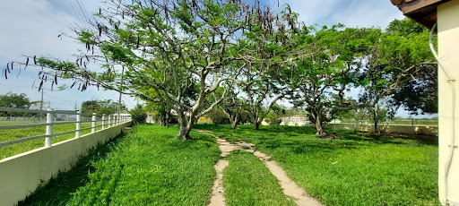 Propriedade Rural para venda em Campos dos Goytacazes com 42 Alqueires