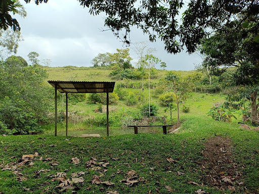 Sítio em Vale Encantado  -  Macaé