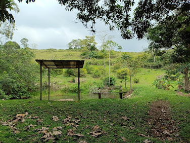 Sítio em Vale Encantado  -  Macaé