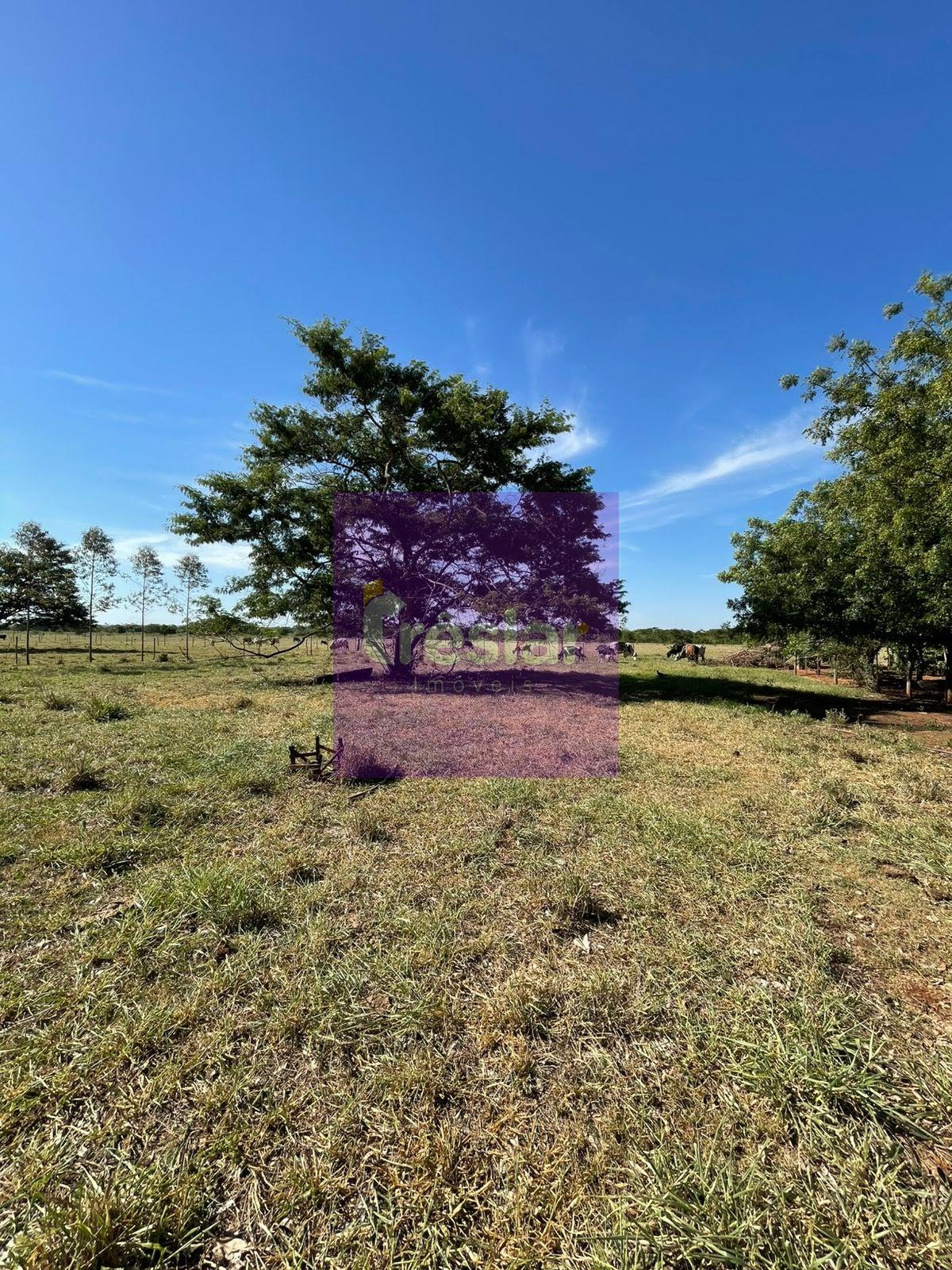 Rural à venda com 80m² de terreno no Chácara, Três Lagoas (MS) — foto 4 de 12