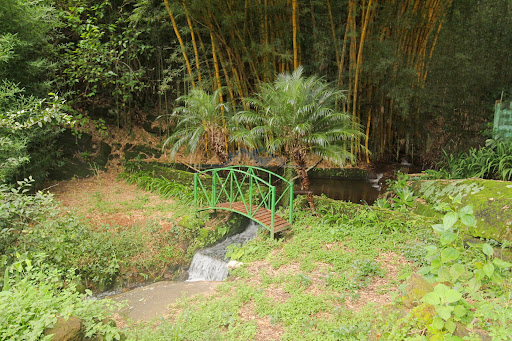 Área de mata e cachoeira 