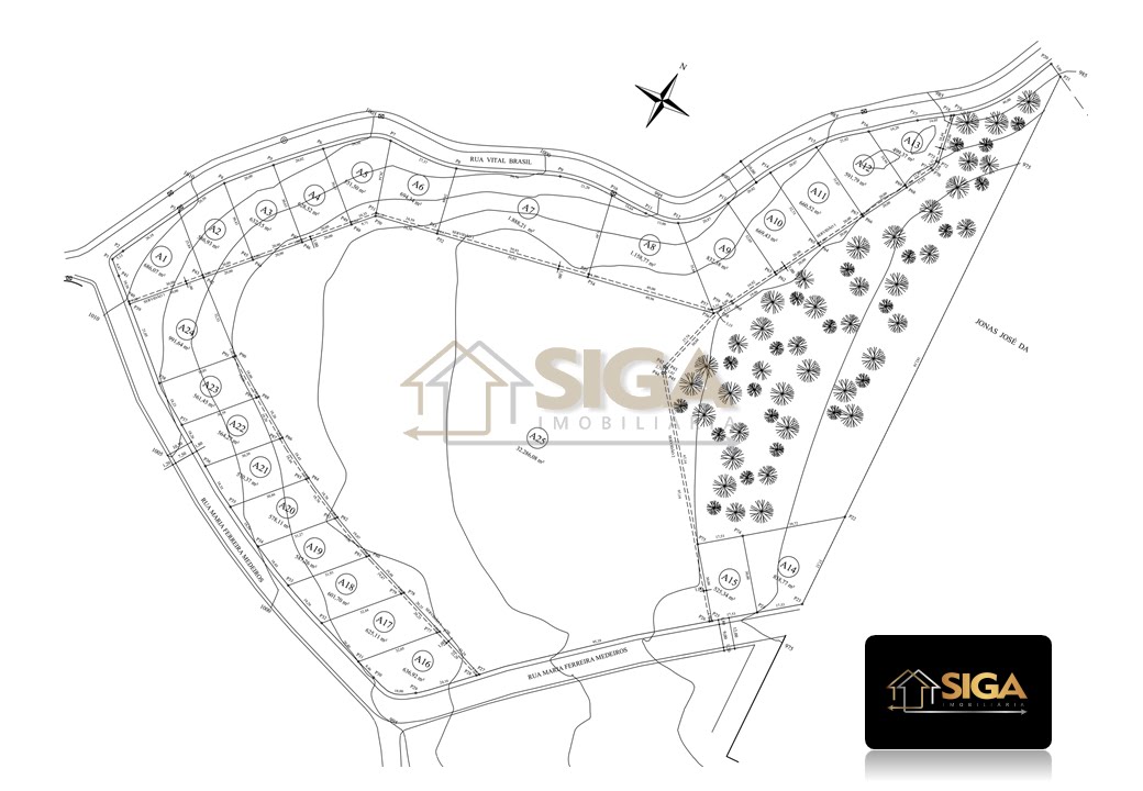 Terreno Residencial à venda em Cônego, Nova Friburgo - RJ - Foto 11