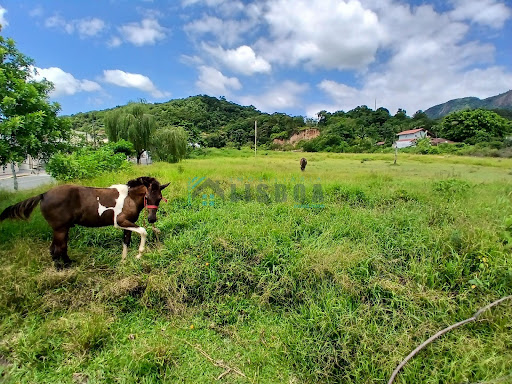 Área em Sertão do Maruim  -  São José