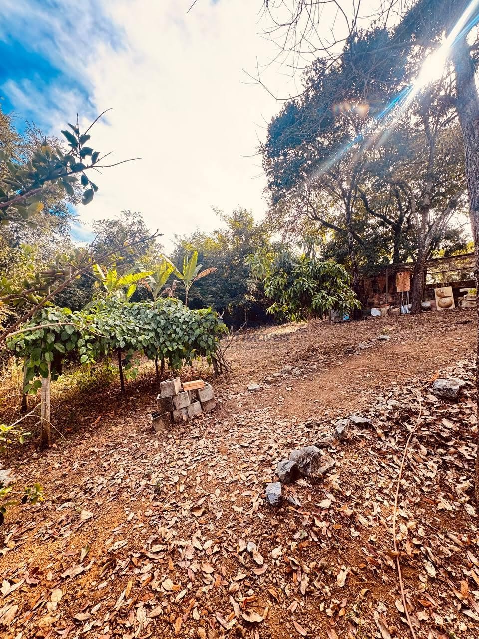 Rural à venda com 7000m² de terreno no Andiroba, Esmeraldas (MG) — foto 14 de 26