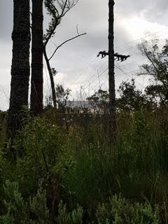 em Município de Piranguçu  -  Piranguçu