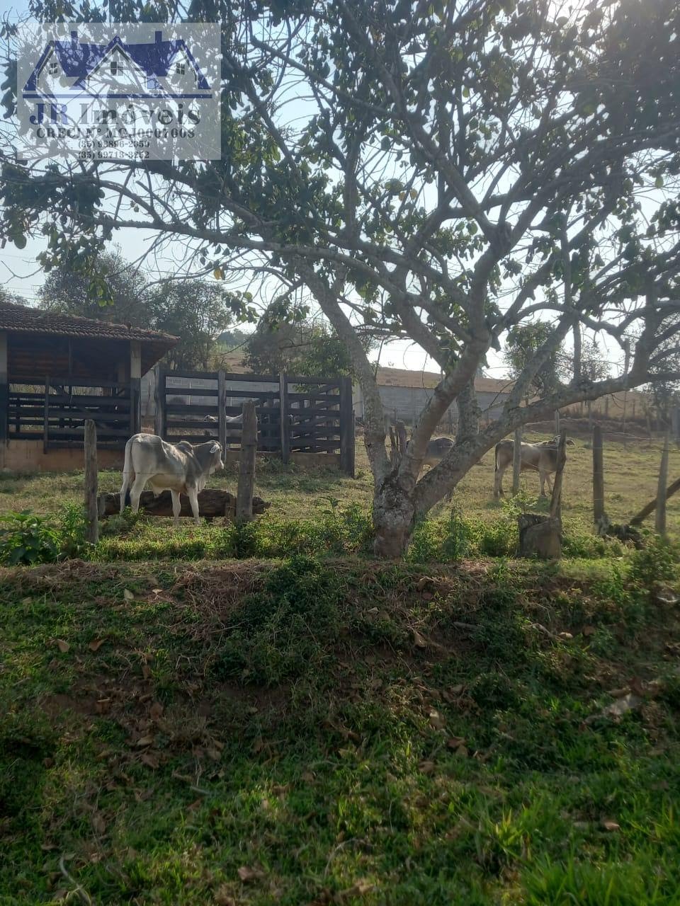 Rural à venda com 140m² de terreno no Teodoros, Brazópolis (MG) — foto 19 de 26