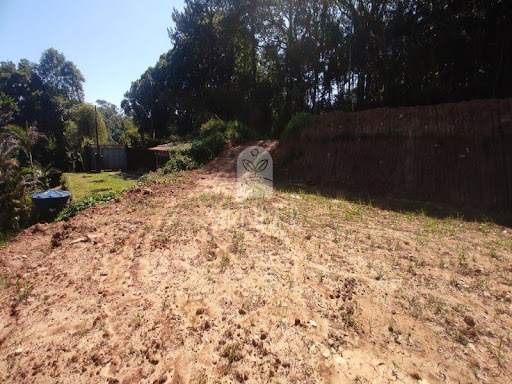 Foto 02