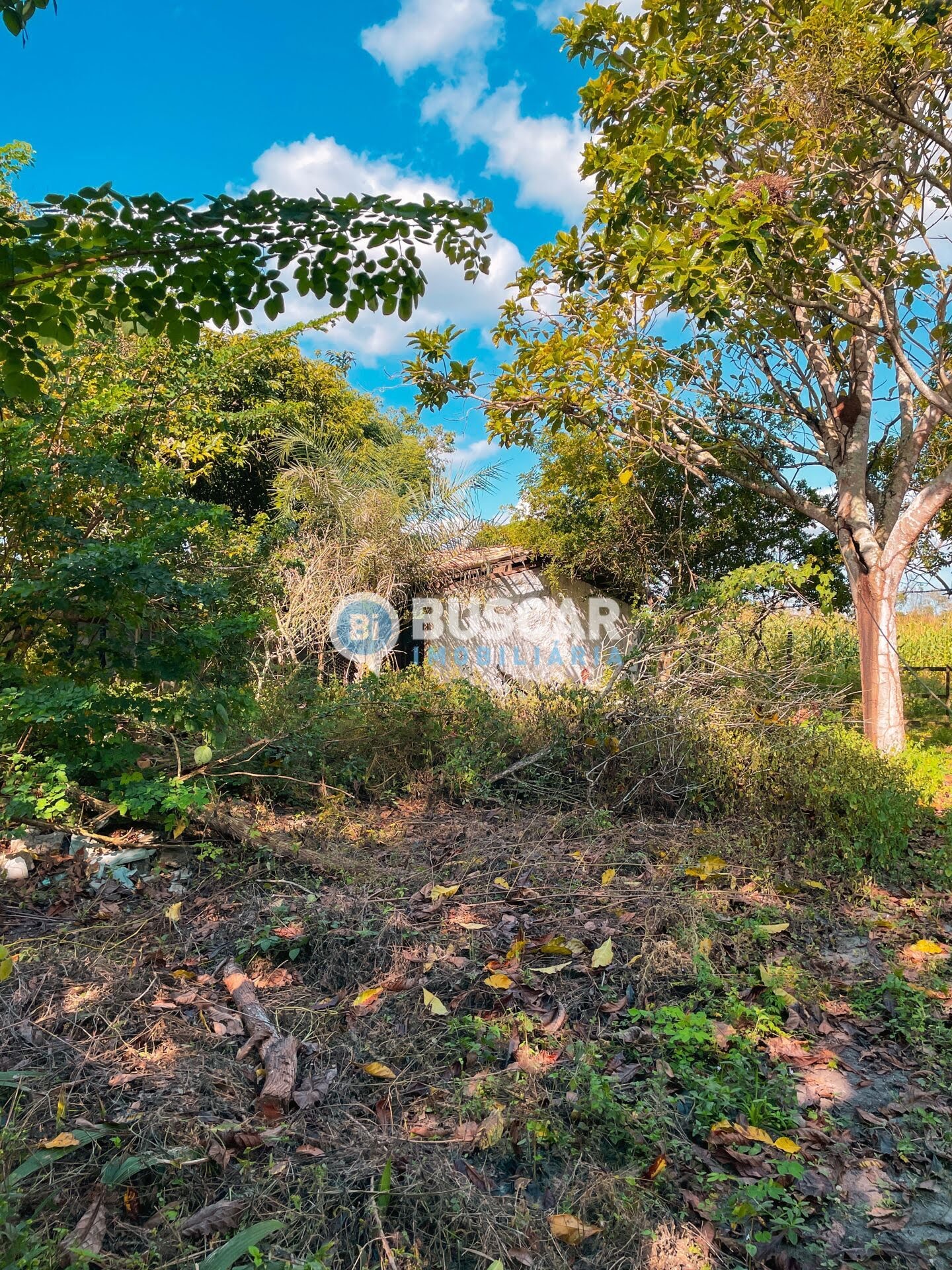 Rural à venda com 2000000m² de terreno no Rural, São Gonçalo dos Campos (BA) — foto 19 de 23