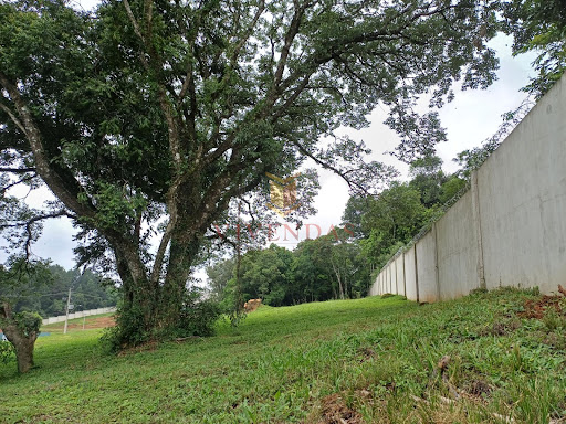 Terreno no Reserva do Arvoredo
