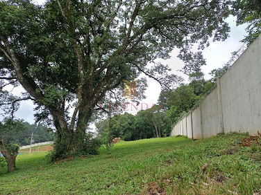 Terreno no Reserva do Arvoredo