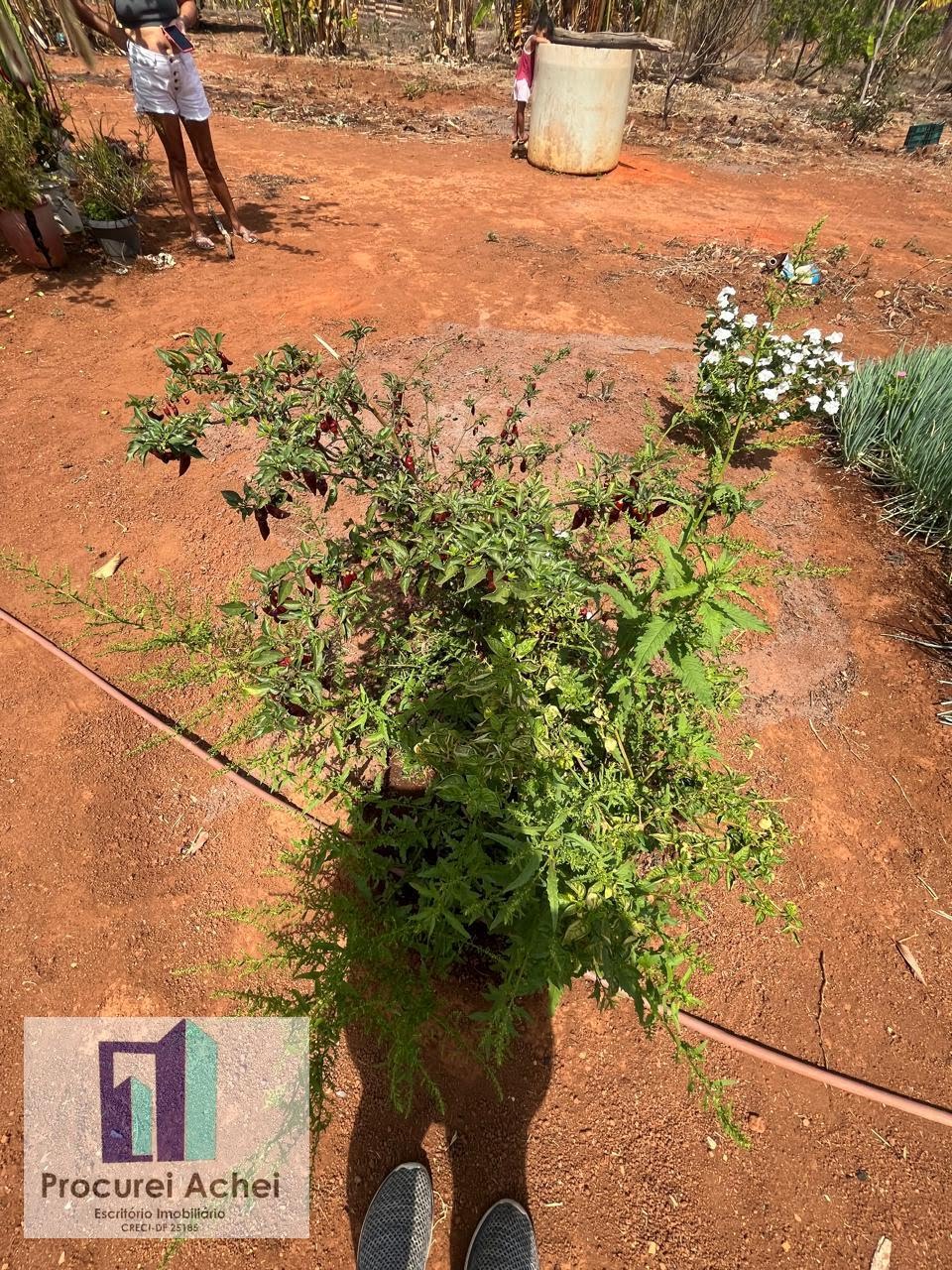 Rural à venda com 5000m² de terreno no Rajadunha I, Brasília (DF) — foto 19 de 21
