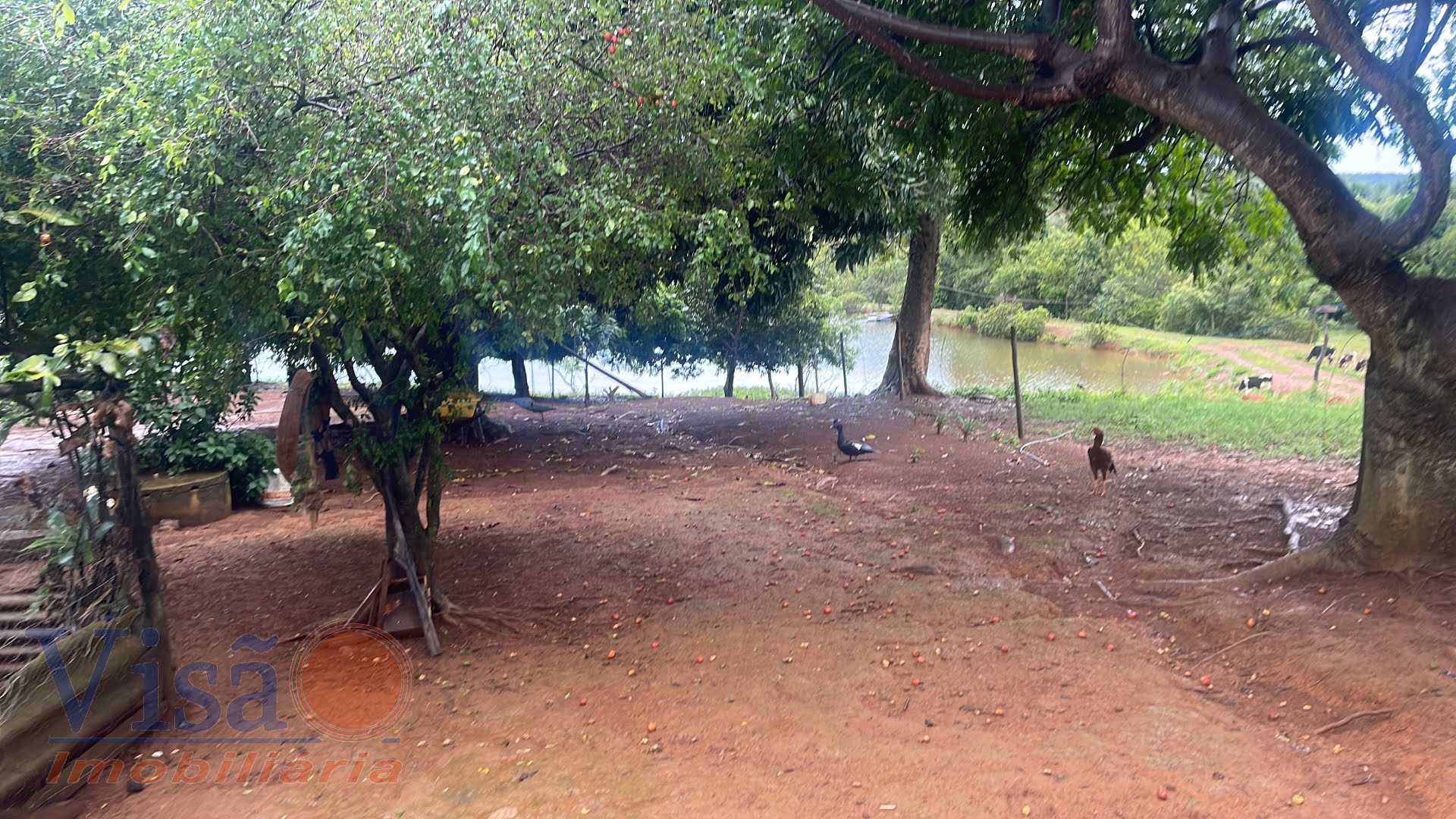 Rural à venda no Sao Marcos, Paracatu — foto principal