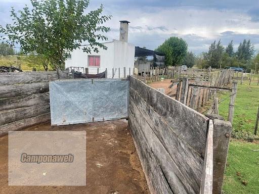 Casa residencial em Zona Rural - Aceguá/Rio Grande do Sul | Casa residencial em Zona Rural - Aceguá/Rio Grande do Sul | Imobiliária Camponaweb em Santa Cruz do Sul