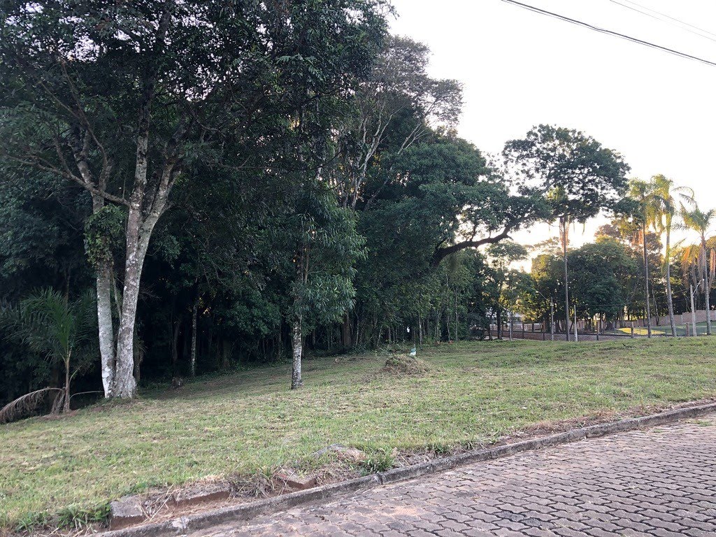 4D2D3FEA-25ED-4D63-BBE2-52B429396FC6.jpeg