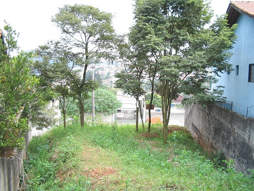 Vista dos fundos para frente