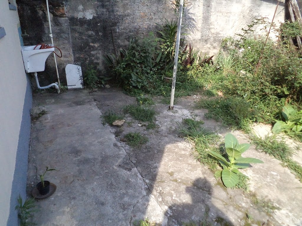 Quintal