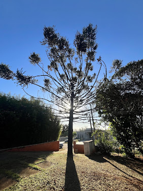 Lote / Terreno em Pq Res. Colina das Estrelas  -  Tatuí - SP
