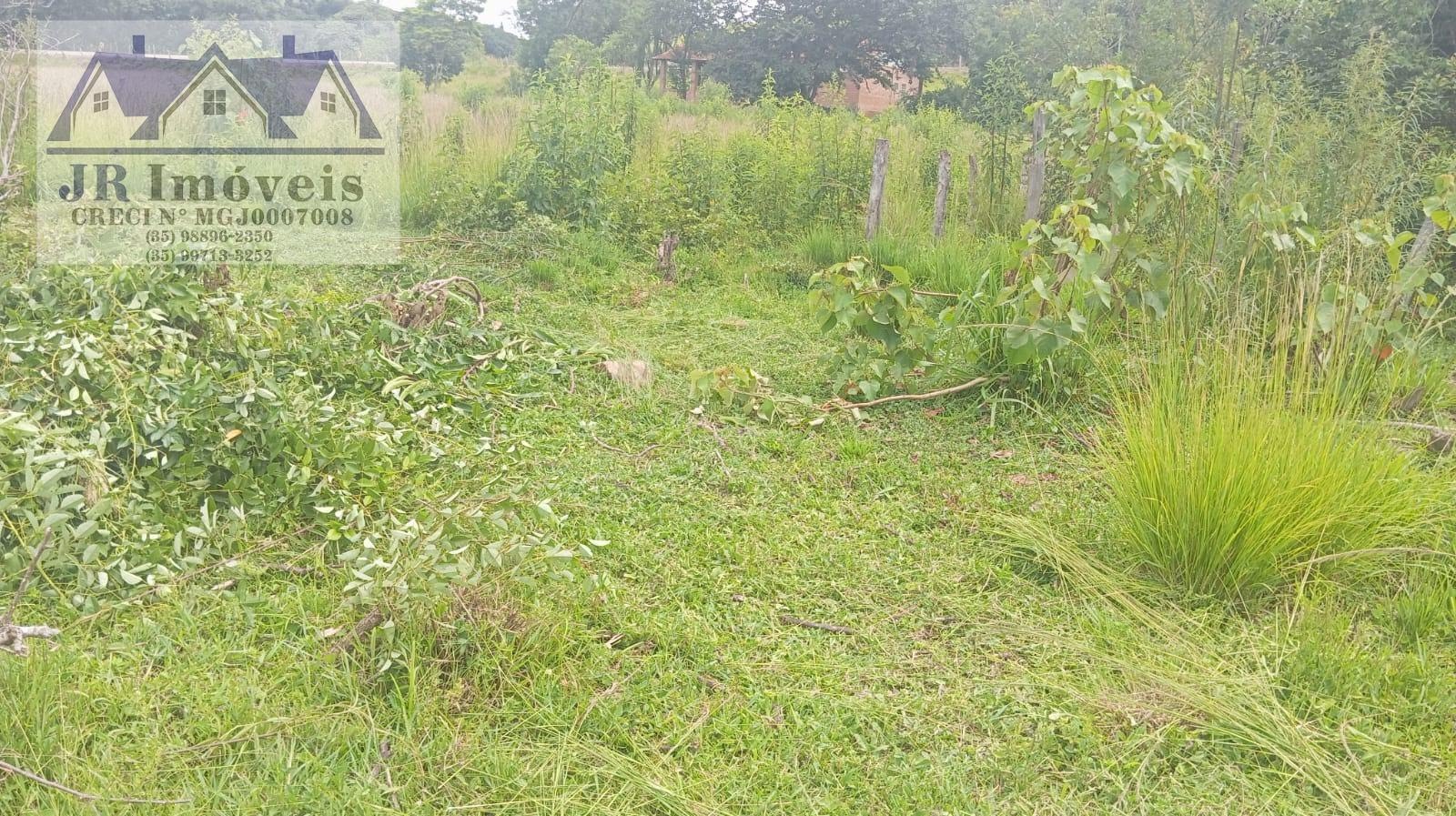 Terreno à venda no Capote, Piranguinho (MG) — foto 5 de 6