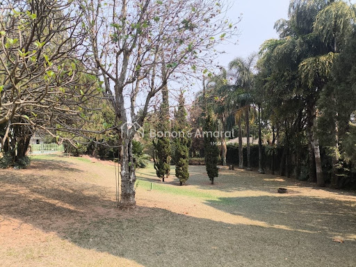 Casa, 3 quartos, 438 m² - Foto 20