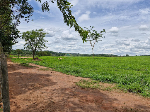 Fazenda a venda em Itobi SP