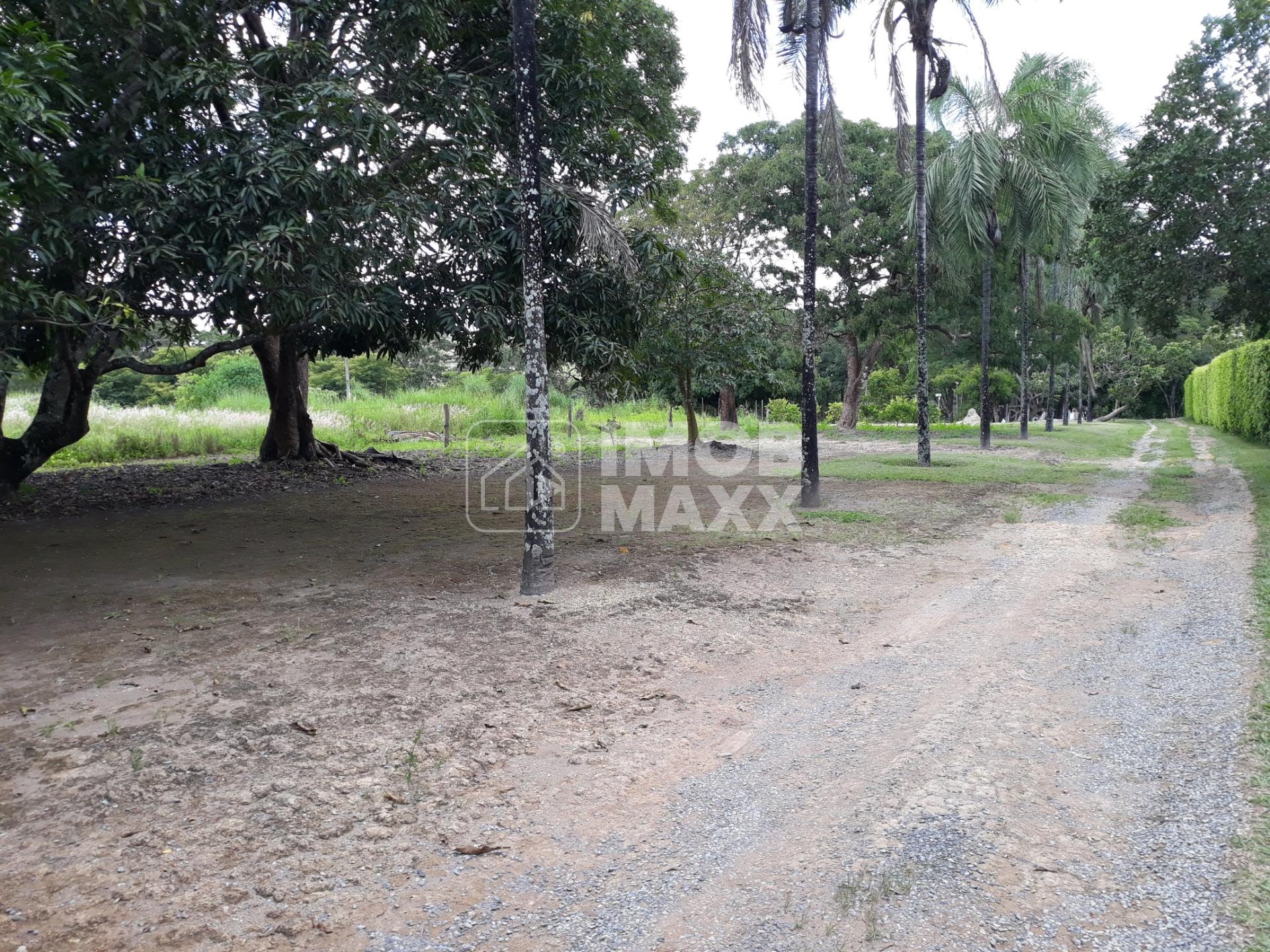 Chácara, 5 quartos, 5 hectares - Foto 9