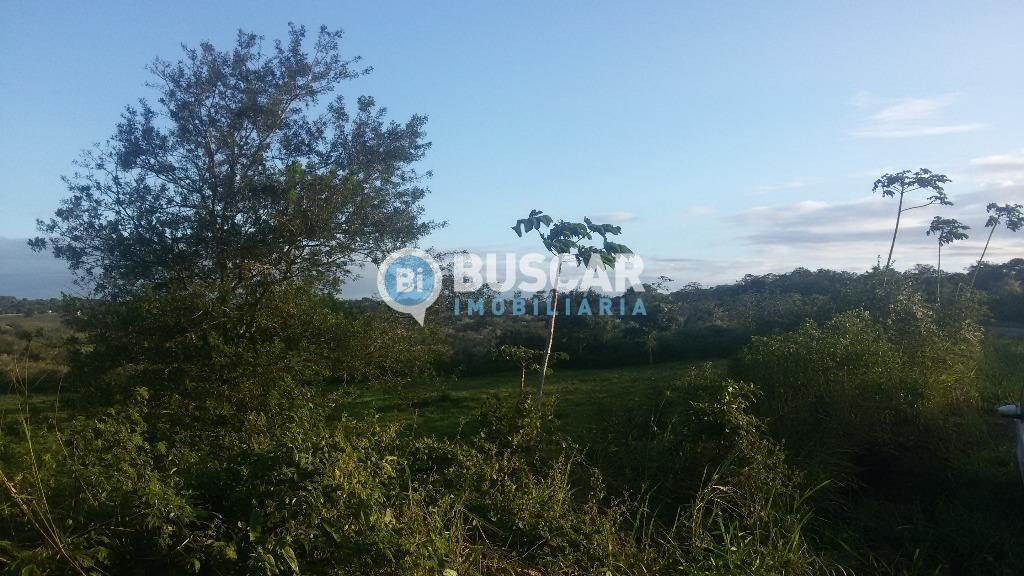 Terreno à venda com 21780m² de terreno no Rural, São Gonçalo dos Campos (BA) — foto 4 de 5