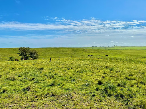 Casa residencial em Zona Rural - Aceguá/Rio Grande do Sul | Casa residencial em Zona Rural - Aceguá/Rio Grande do Sul | Imobiliária Camponaweb em Santa Cruz do Sul