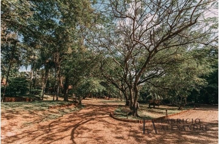 Rural à venda com 68000m² de terreno no Zona Rural, Mirassol (SP) — foto 17 de 20