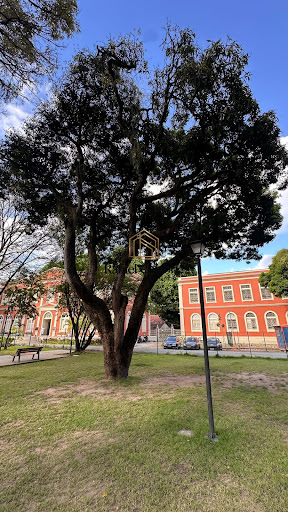 Parque da Tamarineira a seu dispor
